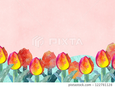 Pink background material with red tulips blooming in paper cutting style Pink background material with red tulips blooming in paper cutting style 122781128