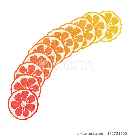 Citrus fruit slice vector background Citrus fruit slice vector background 122781200