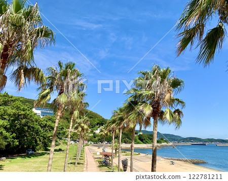 Miyazaki beach where palm trees stand out against the blue sky (Kira Waikiki Beach/Nishio City, Aichi Prefecture) 122781211
