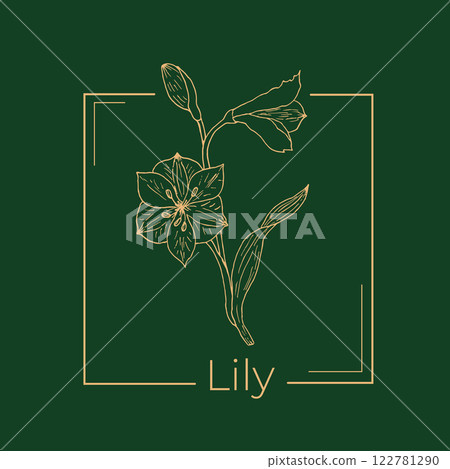 Peruvian lily or Alstroemeria pelegrina hand drawn logo template 122781290