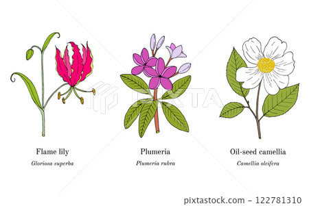 Collection of edible and medicinal plants Collection of edible and medicinal plants 122781310