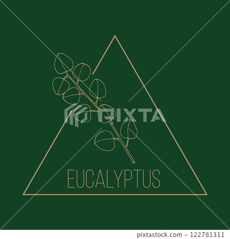 Eucalyptus floral hand drawn logo template 122781311