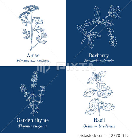 Collection of edible and medicinal plants 122781312