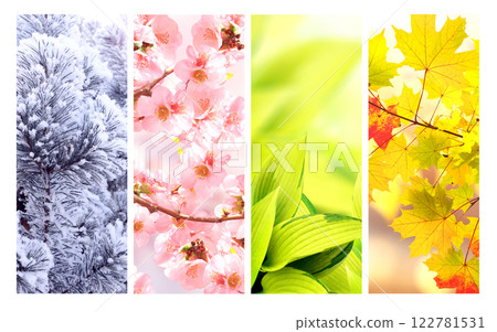 Four seasons of year. Set of vertical nature banners with winter, spring, summer and autumn scenes. Nature collage with beautiful seasonal scenics. Copy space for text 122781531