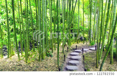 Stone footpath in bamboo garden, Hasedera temple, Kamakura, Japan, Asia. Picturesque landscape with bamboo forest. Topic of vacation, travel, trip abroad on vacation, cruises and tours 122781550
