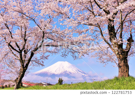 山梨縣、忍野村、富士山和櫻花樹 122781753