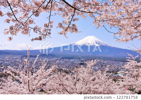 日本的春天富士和櫻花 122781758