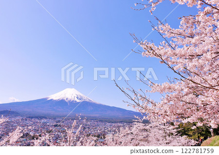 日本的春天富士和櫻花 122781759