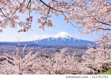 日本的春天富士和櫻花 日本的春天富士和櫻花 122781762