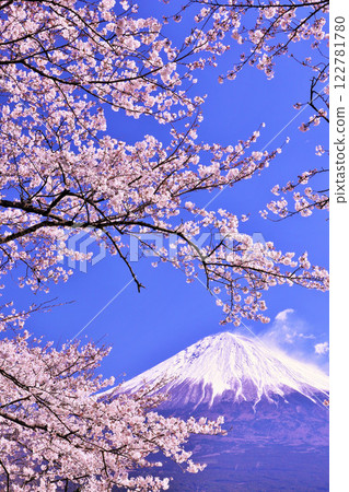日本的春天富士和櫻花 日本的春天富士和櫻花 122781780