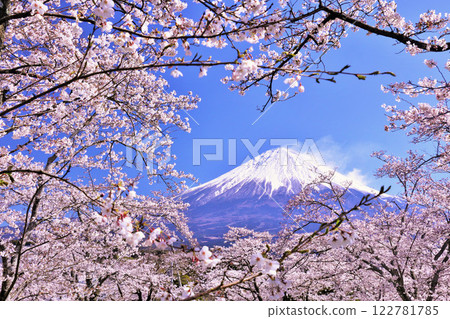 日本的春天富士和櫻花 122781785