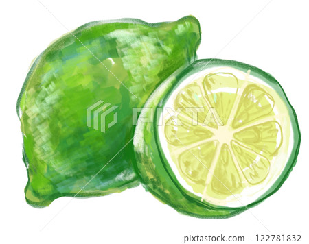 Realistic watercolor illustration of fresh lime fruit and slices 122781832