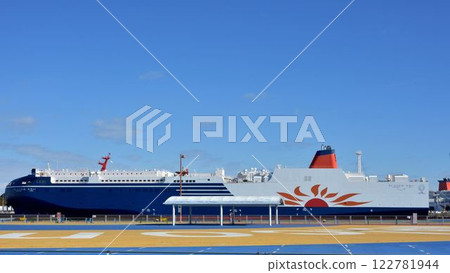 Sunflower Camui 122781944