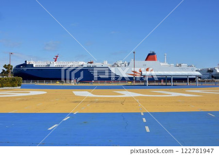 Sunflower Camui 122781947