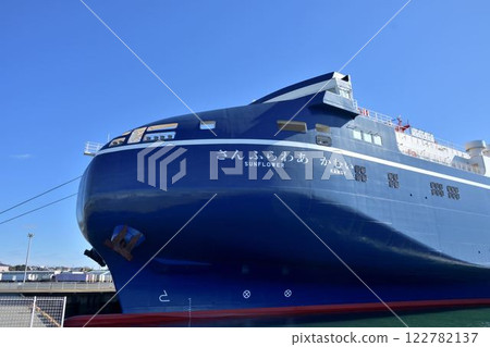 Sunflower Camui 122782137