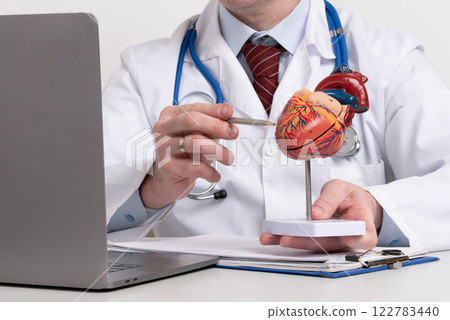 A cardiologist uses a heart model to demonstrate the anatomy, function, and treatment of cardiovascular diseases A cardiologist uses a heart model to demonstrate the anatomy, function, and treatment of cardiovascular diseases 122783440
