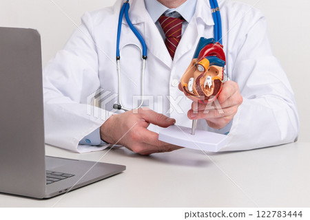 A cardiologist uses a heart model to demonstrate the anatomy, function, and treatment of cardiovascular diseases 122783444