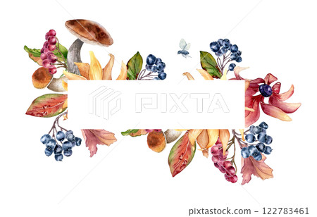 Mushrooms and colorful leaves on watercolor autumn border isolated. Black chokeberry, rowan and porcini with pink yellow flowers painted. Woodland plants on colorful fall frame hand drawn. Mushrooms and colorful leaves on watercolor autumn border isolated. Black chokeberry, rowan and porcini with pink yellow flowers painted. Woodland plants on colorful fall frame hand drawn. 122783461