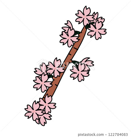 Cherry blossom with branch 1 122784083