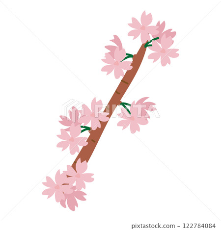 櫻花樹枝 2 122784084