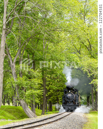 Amemiya No. 21 / A steam locomotive that was used on the forest railway Amemiya No. 21 / A steam locomotive that was used on the forest railway 122784581