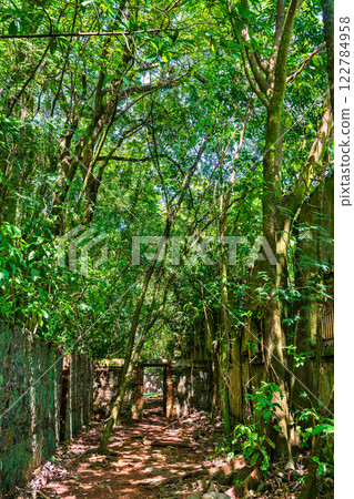 Old ruins of notorious penal colony in Saint Joseph Island, Salvation Islands, French Guiana, South America 122784958