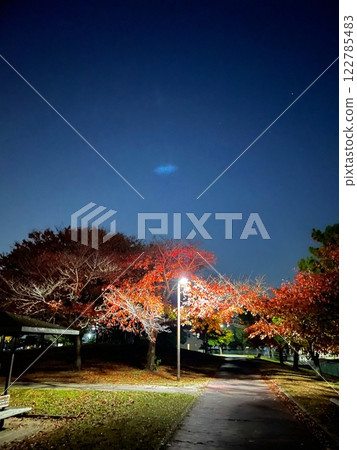 公園夜晚的秋葉被燈光照亮 公園夜晚的秋葉被燈光照亮 122785483