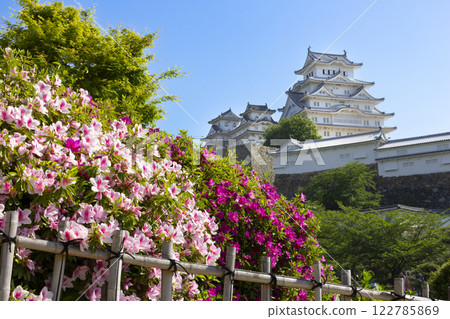 姬路城和藍天下美麗的杜鵑花 122785869