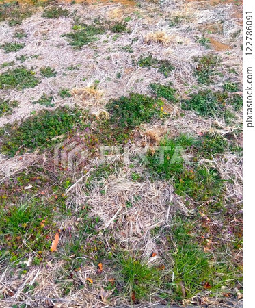 Fallow land in early spring 122786091