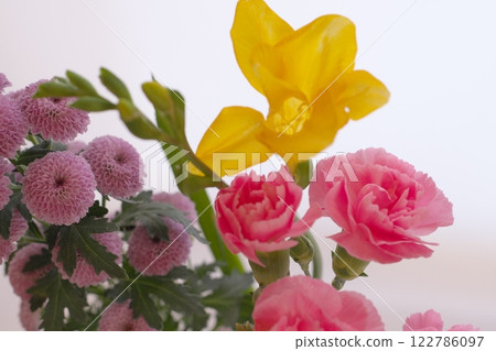 噴灑康乃馨、小蒼蘭和乒乓菊 噴灑康乃馨、小蒼蘭和乒乓菊 122786097
