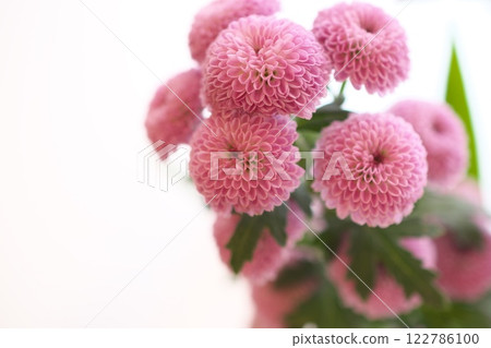 乒乓媽媽特寫 乒乓媽媽特寫 122786100