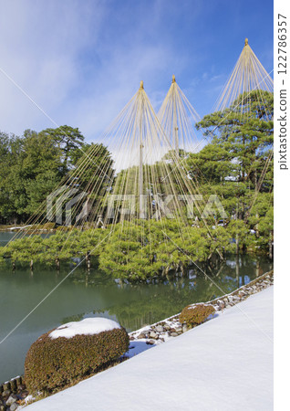 松樹上掛滿雪花，是兼六園冬季的一大特色 122786357