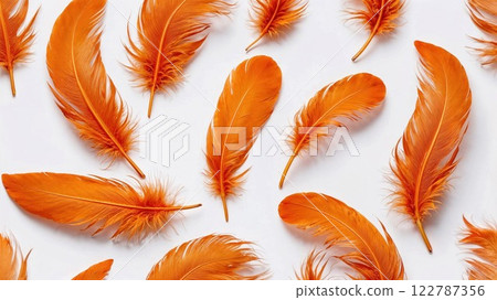 Vibrant orange feathers arranged elegantly on a white background, creating a minimalist yet dynamic display of texture, color, and natural beauty Vibrant orange feathers arranged elegantly on a white background, creating a minimalist yet dynamic display of texture, color, and natural beauty 122787356