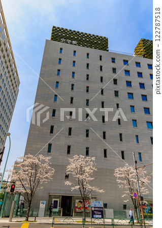 東京千代田區一橋小學館前的櫻花 東京千代田區一橋小學館前的櫻花 122787518