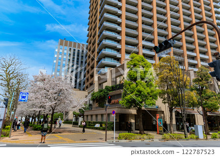 東京千代田區神田神保町東京公園塔前的櫻花 東京千代田區神田神保町東京公園塔前的櫻花 122787523
