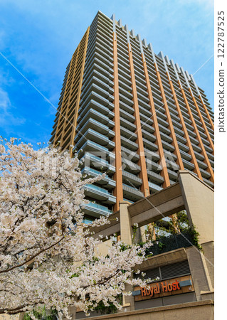 東京千代田區神田神保町東京公園塔前的櫻花 122787525