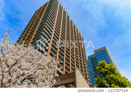 Cherry blossoms in front of Tokyo Park Tower in Kanda Jinbocho, Chiyoda Ward, Tokyo 122787526