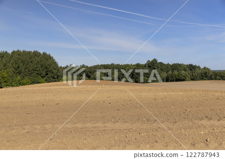 trees growing in the forest in spring next to the field on which the soil was plowed for sowing grain trees growing in the forest in spring next to the field on which the soil was plowed for sowing grain 122787943