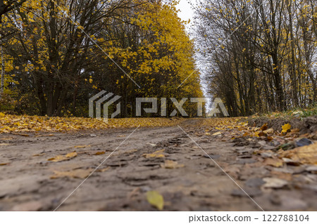 in the autumn season with trees and a concrete road, the asphalt layer of which is collapsing in the autumn season with trees and a concrete road, the asphalt layer of which is collapsing 122788104