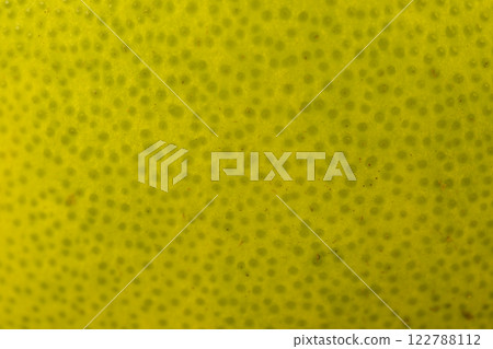 details of the citrus peel green during ripening with a yellow tint 122788112