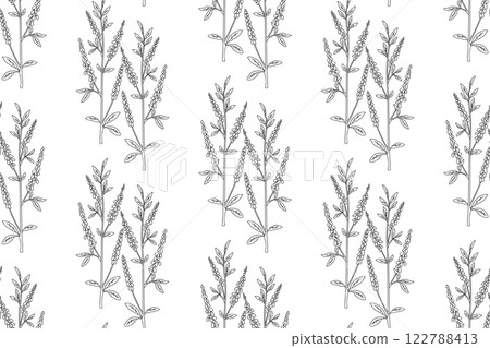 Line art botanical abstract seamless plant pattern with wildflowers vector illustration. Black and white outline repeating floral background. Graphic design for Wallpaper Textile Cover Birthday Card 122788413