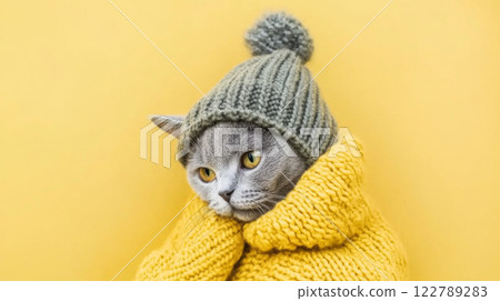Gray Cat in cozy knitted hat and sweater against color background 122789283