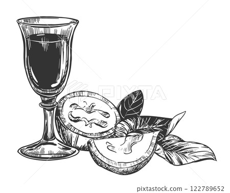 Walnut composition in engraving technique. Unripe walnut seeds whole and halves, leaves and branches. Vector shot glass of Italian liqueur Nocino. Linear sketch in black ink on white background. Walnut composition in engraving technique. Unripe walnut seeds whole and halves, leaves and branches. Vector shot glass of Italian liqueur Nocino. Linear sketch in black ink on white background. 122789652