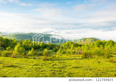 alpine green meadows of carpathian landscape in springtime. mountainous countryside of ukraine with rolling hills and deep valley in fog. warm sunny morning weather with clouds on the blue sky 122789925