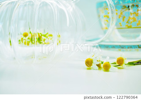 白色背景中由新鮮甘菊花製成的甘菊茶 白色背景中由新鮮甘菊花製成的甘菊茶 122790364