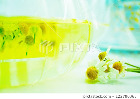 白色背景下玻璃壺中美麗的金色甘菊茶和新鮮採摘的花朵的特寫 白色背景下玻璃壺中美麗的金色甘菊茶和新鮮採摘的花朵的特寫 122790365