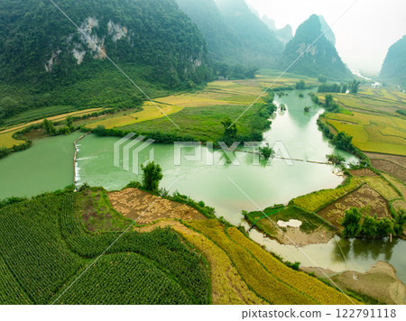 Aerial top view of Green rice field at northern vietnam,Beautiful destination in Northern Vietnam,Travel and landscape concept, Nature and rice fields background 122791118