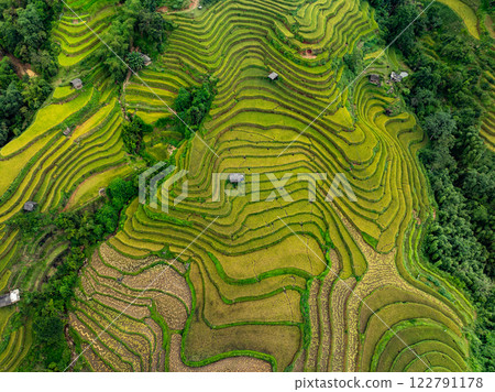 Aerial top view Rice fields on terrace northern Vietnam, Rice fields prepare the harvest at northwest vietnam,Wide angle view 122791178