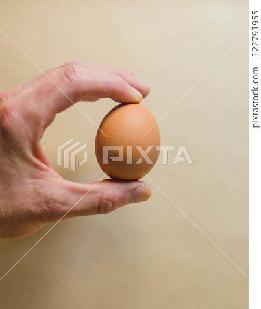 Hand holding fresh egg, delicate and natural, simple food . High quality photo Hand holding fresh egg, delicate and natural, simple food . High quality photo 122791955