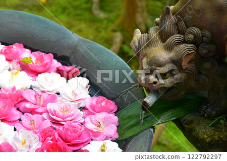 Kyoto Honen-in's flower chozubizu 122792297